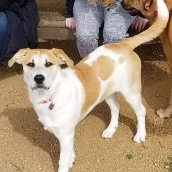 Meet your Posher, Samantha - Picture 1 of 1